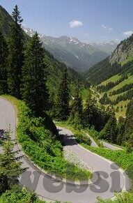 网上森林舞会游戏-网上森林舞会，一场虚拟与现实的奇妙融合